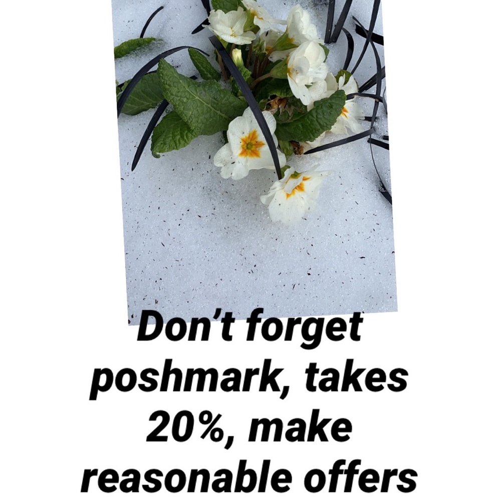 Offers accepted 🌻🌻🌻